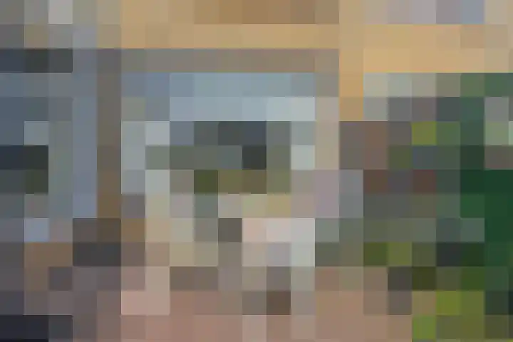 Nieuwlandsweg 44 Rijssen thumbnail 30
