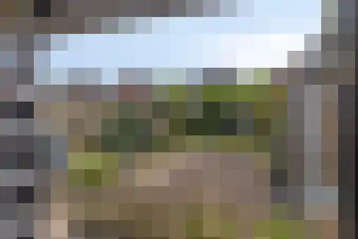 Nieuwlandsweg 44 Rijssen thumbnail 31