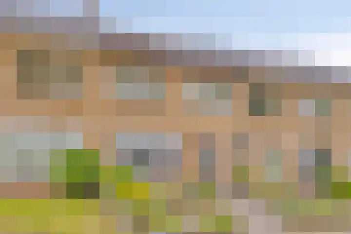 Nieuwlandsweg 44 Rijssen thumbnail 4