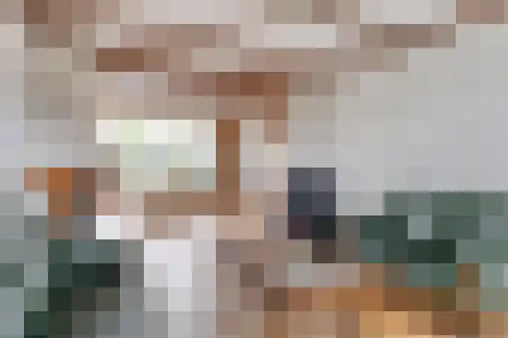 Nieuwlandsweg 44 Rijssen thumbnail 9