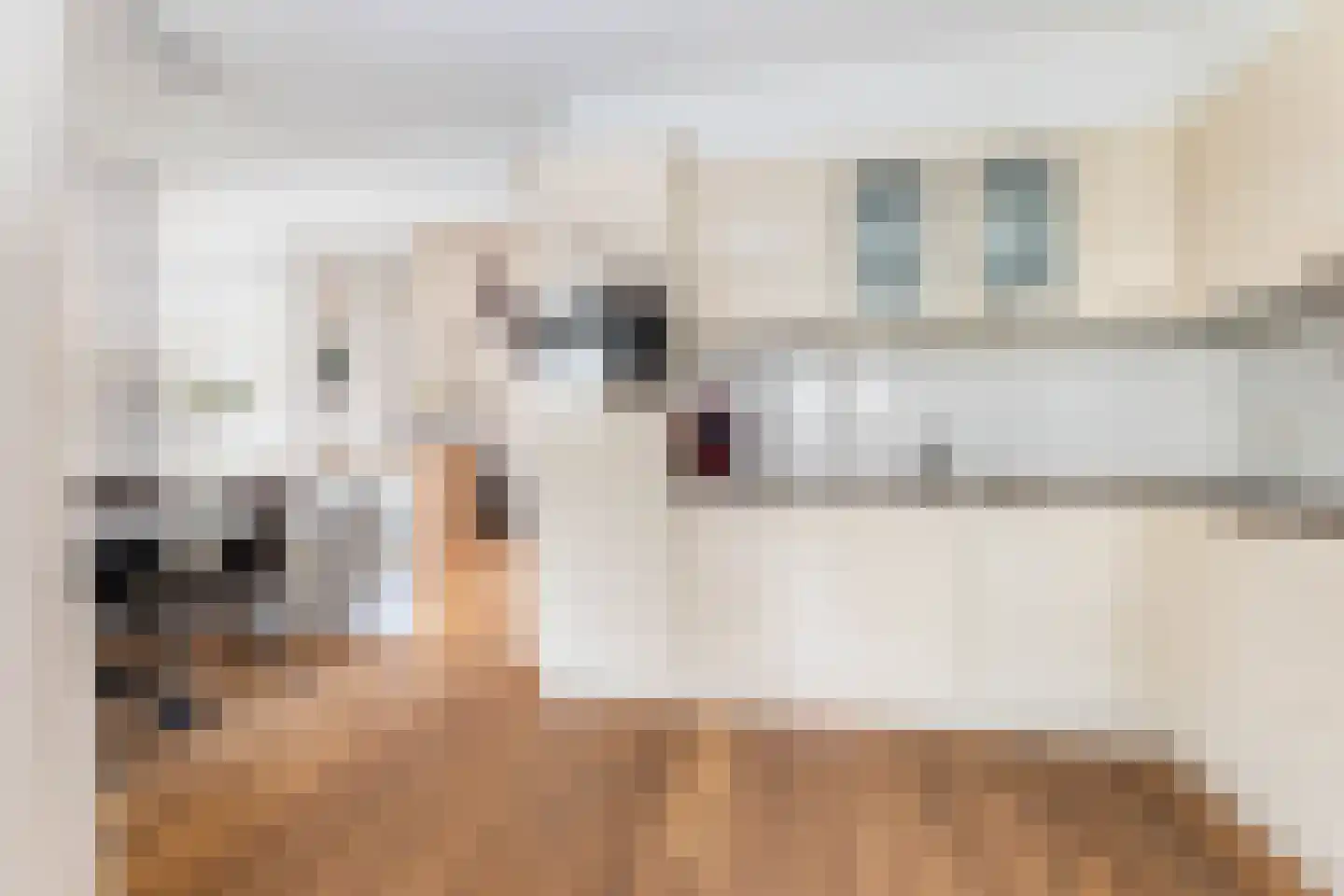 Nieuwlandsweg 70 Wezep foto 3