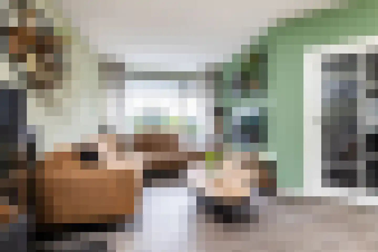 Nieuwlandsweg 72 Wezep foto 3