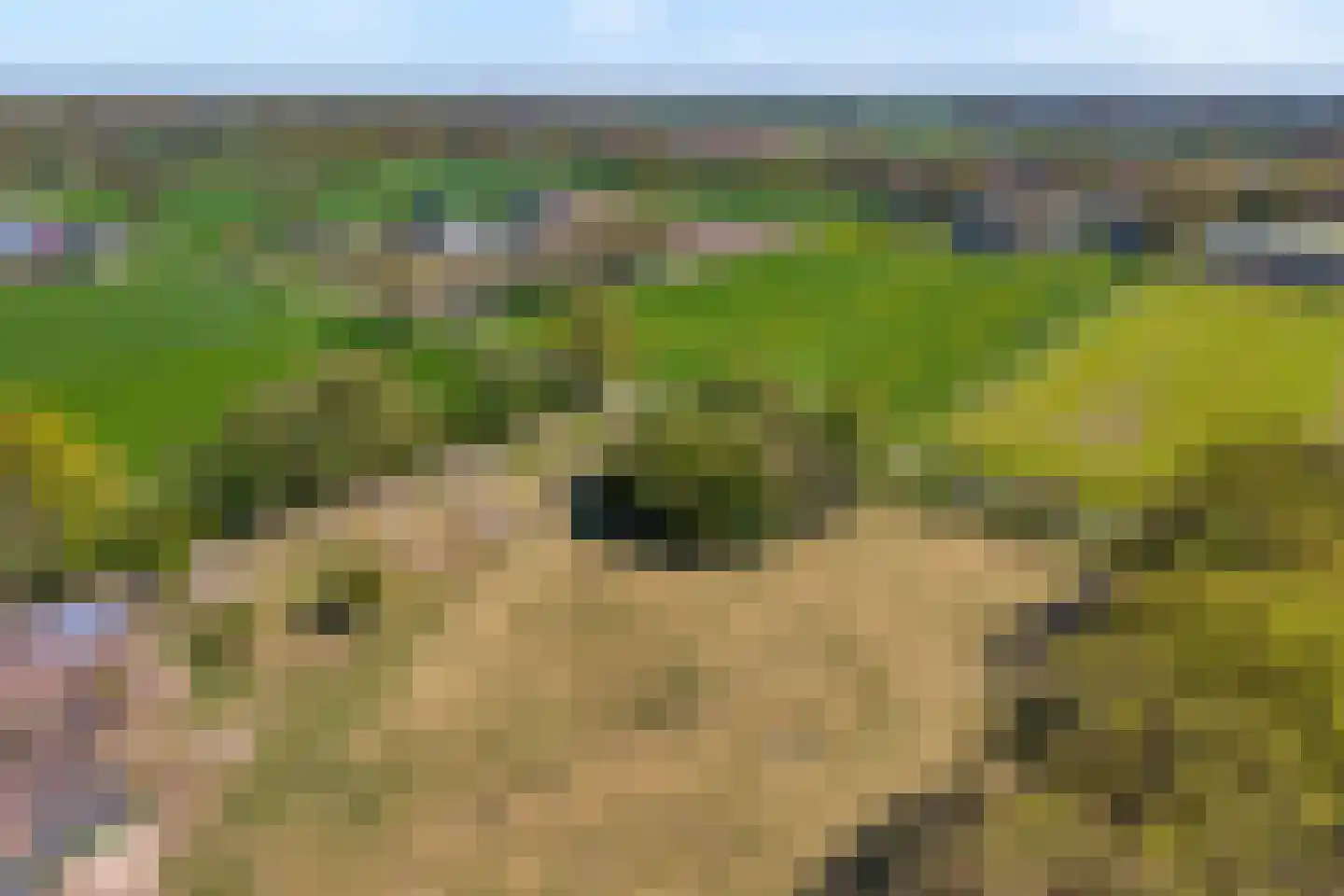 Nieuwlandweg 1 Ane thumbnail 10