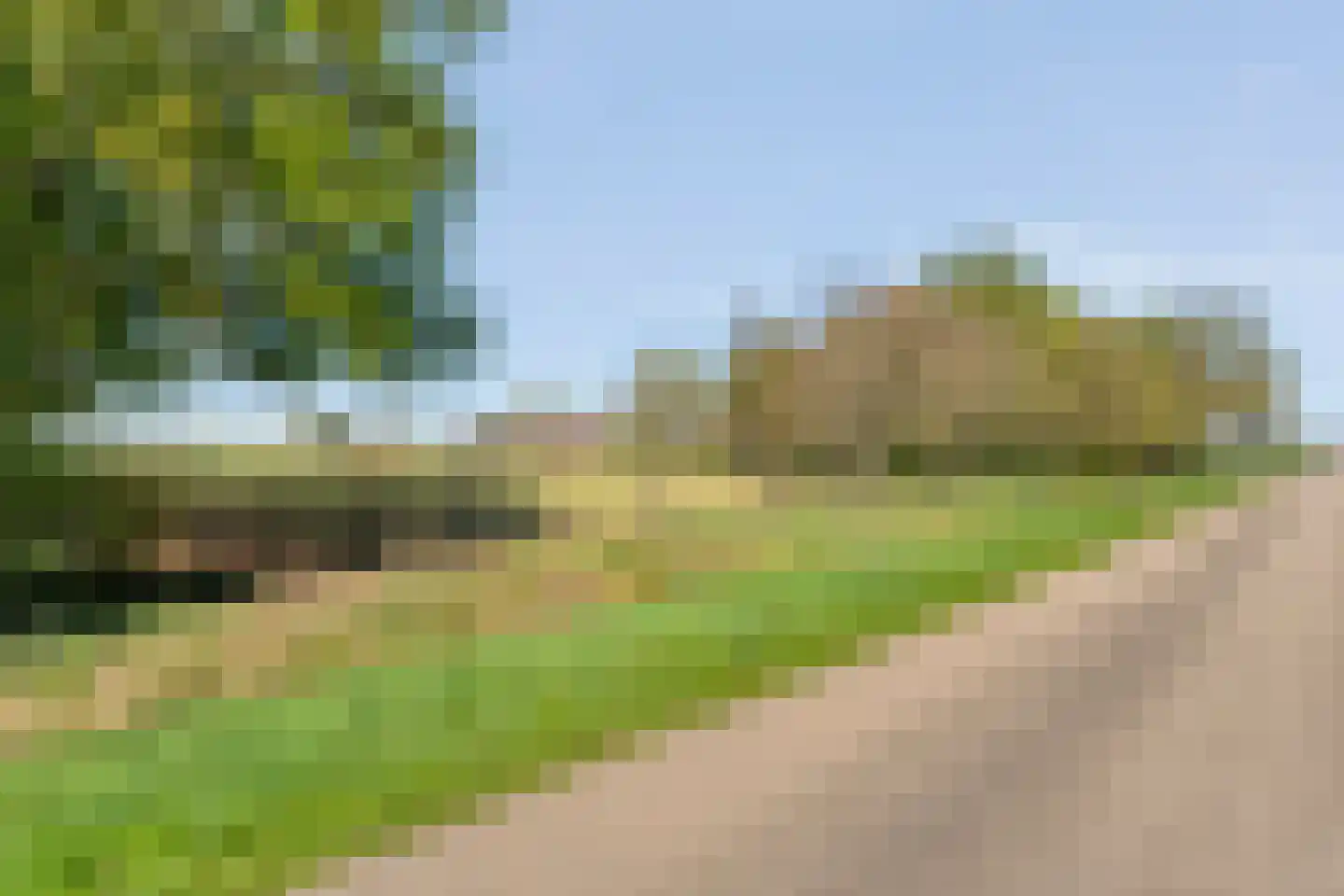 Nieuwlandweg 1 Ane thumbnail 12