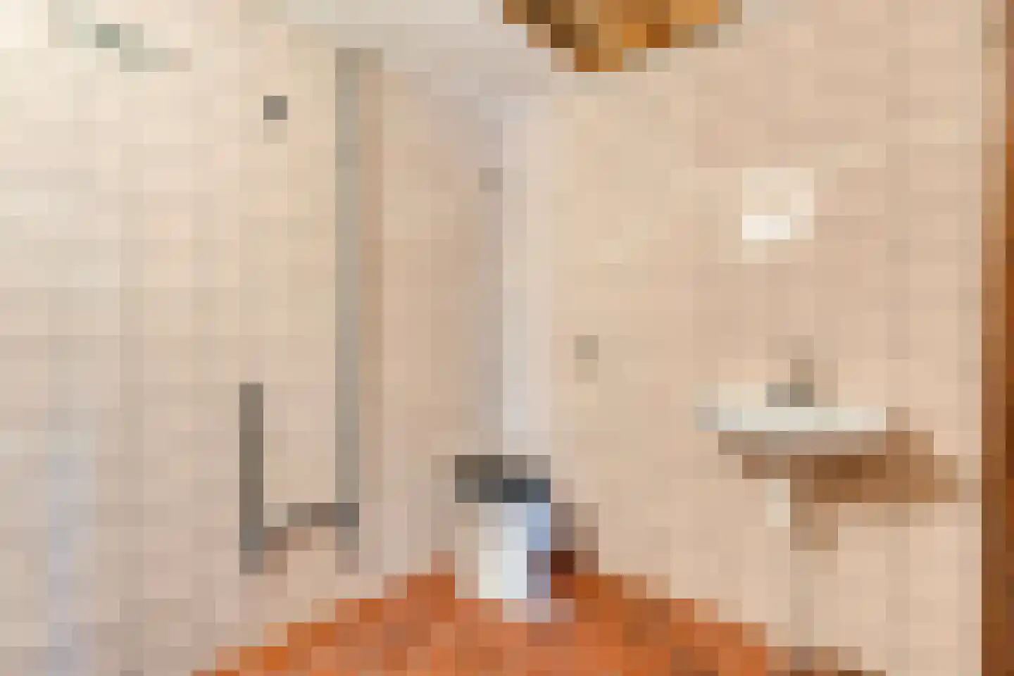 Nieuwlandweg 1 Ane thumbnail 18