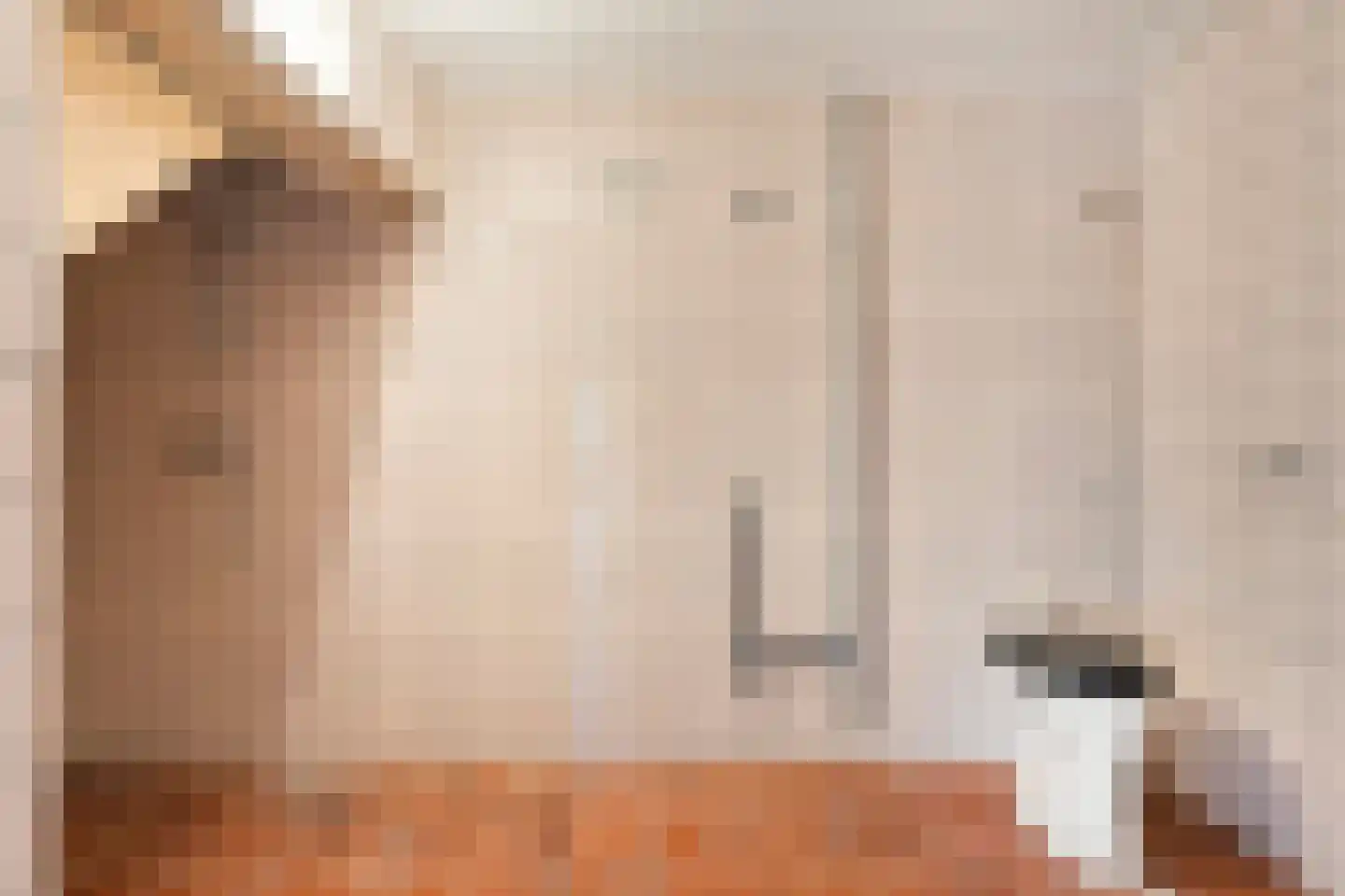 Nieuwlandweg 1 Ane thumbnail 19