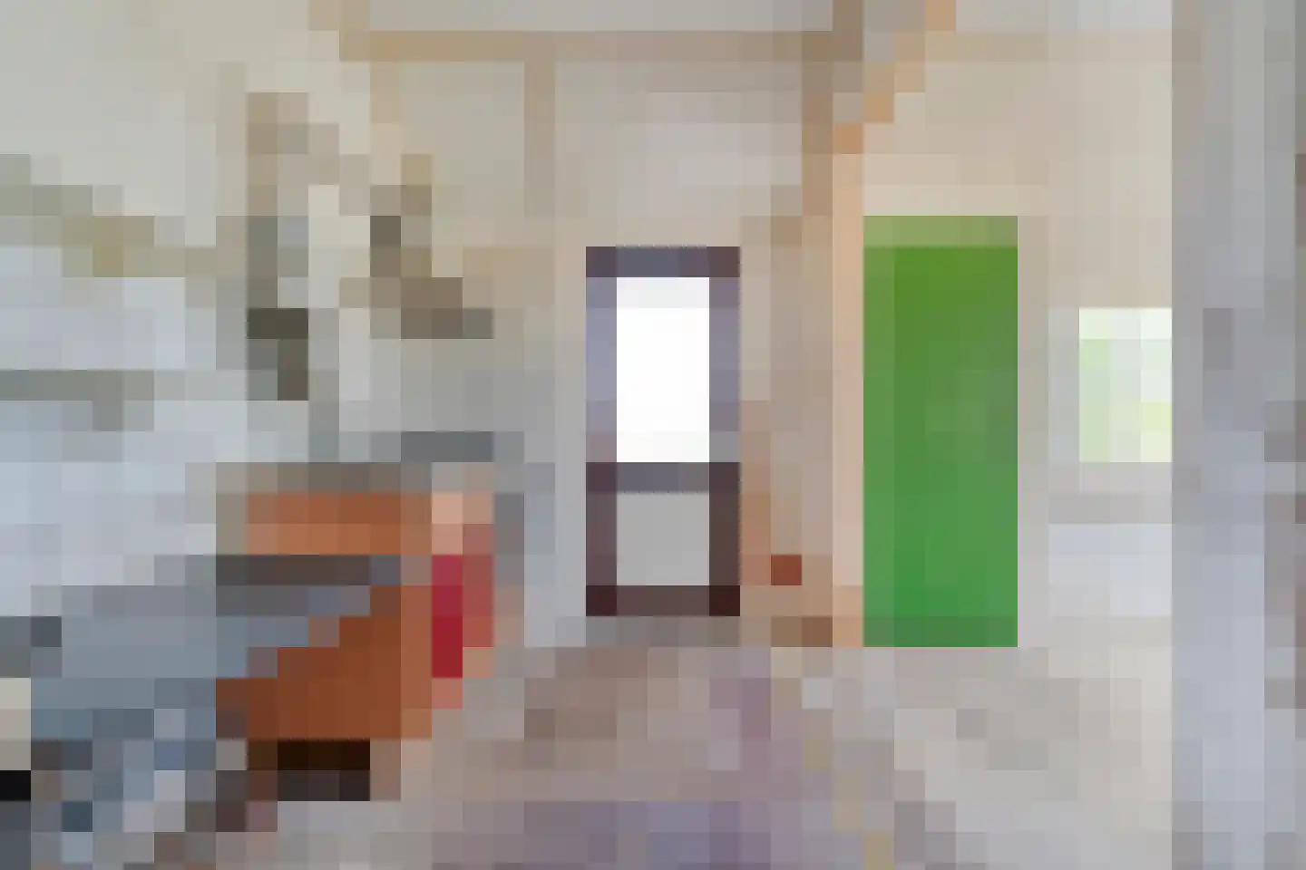 Nieuwlandweg 1 Ane thumbnail 22