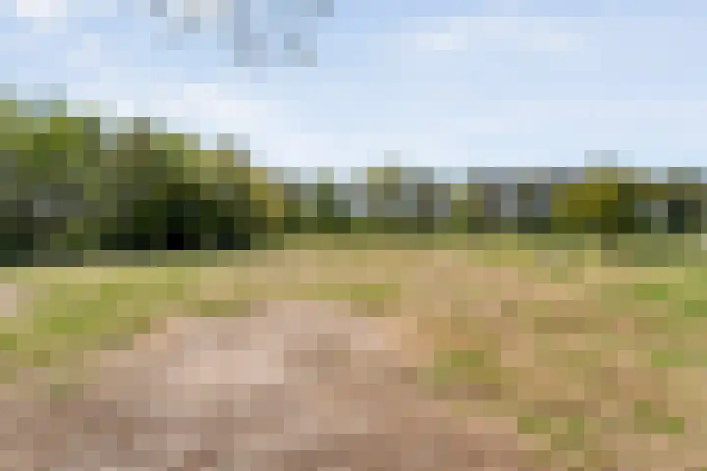 Nieuwlandweg 1 Ane thumbnail 47