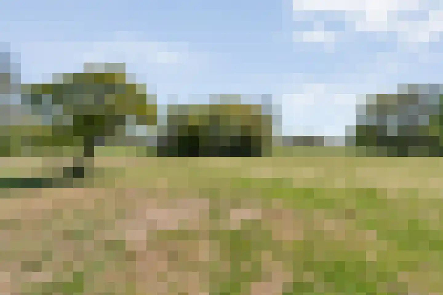 Nieuwlandweg 1 Ane thumbnail 48