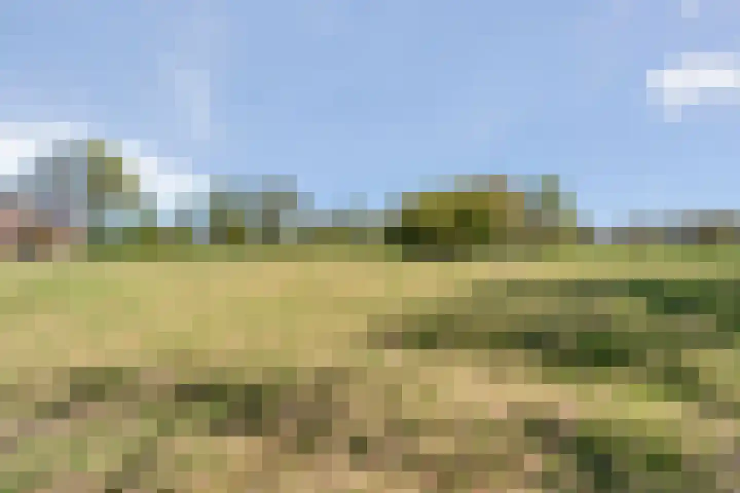 Nieuwlandweg 1 Ane thumbnail 49