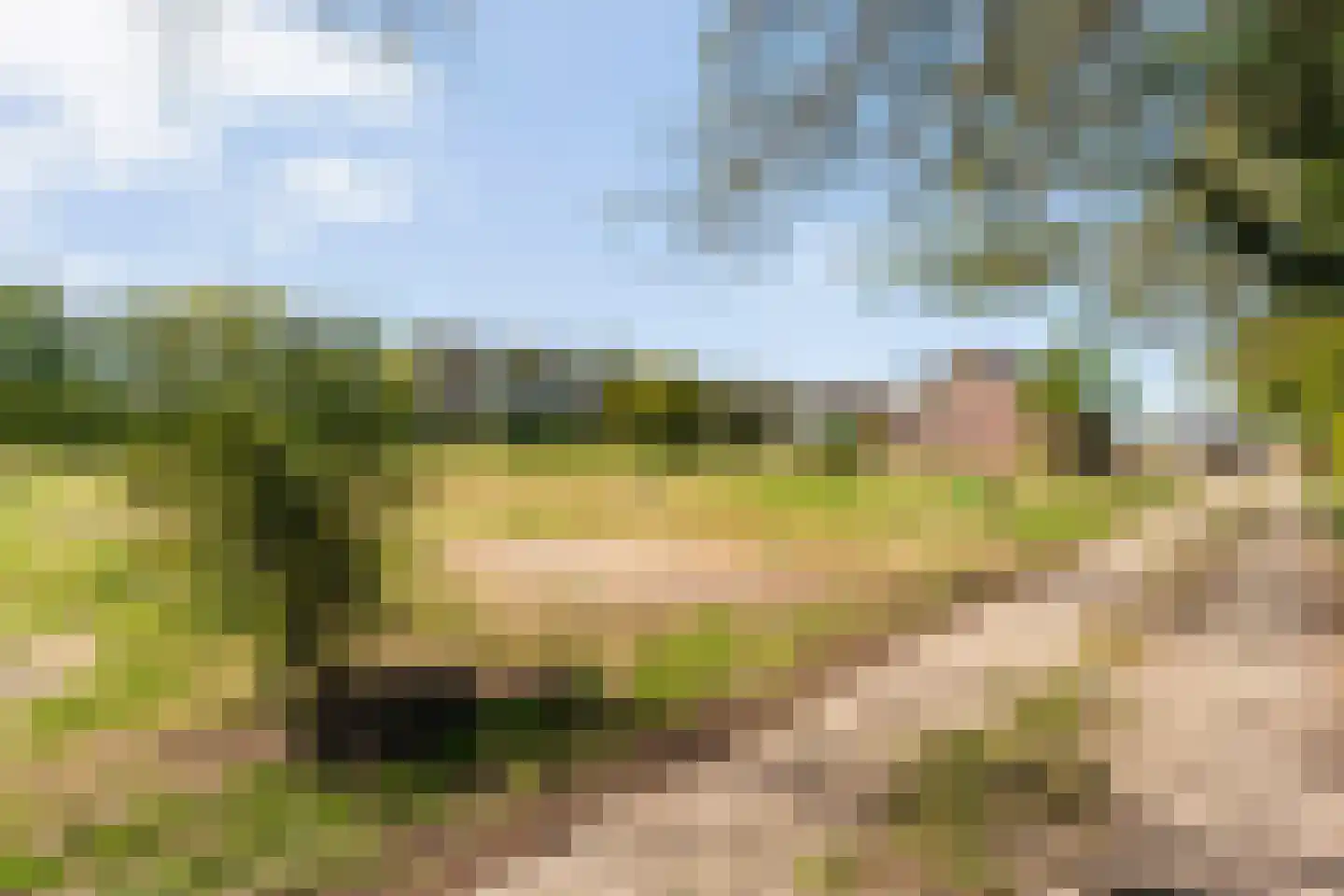 Nieuwlandweg 1 Ane thumbnail 5