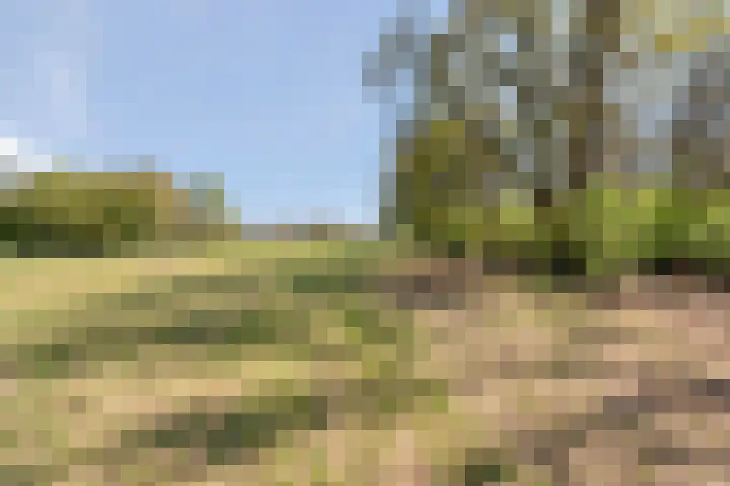 Nieuwlandweg 1 Ane thumbnail 50