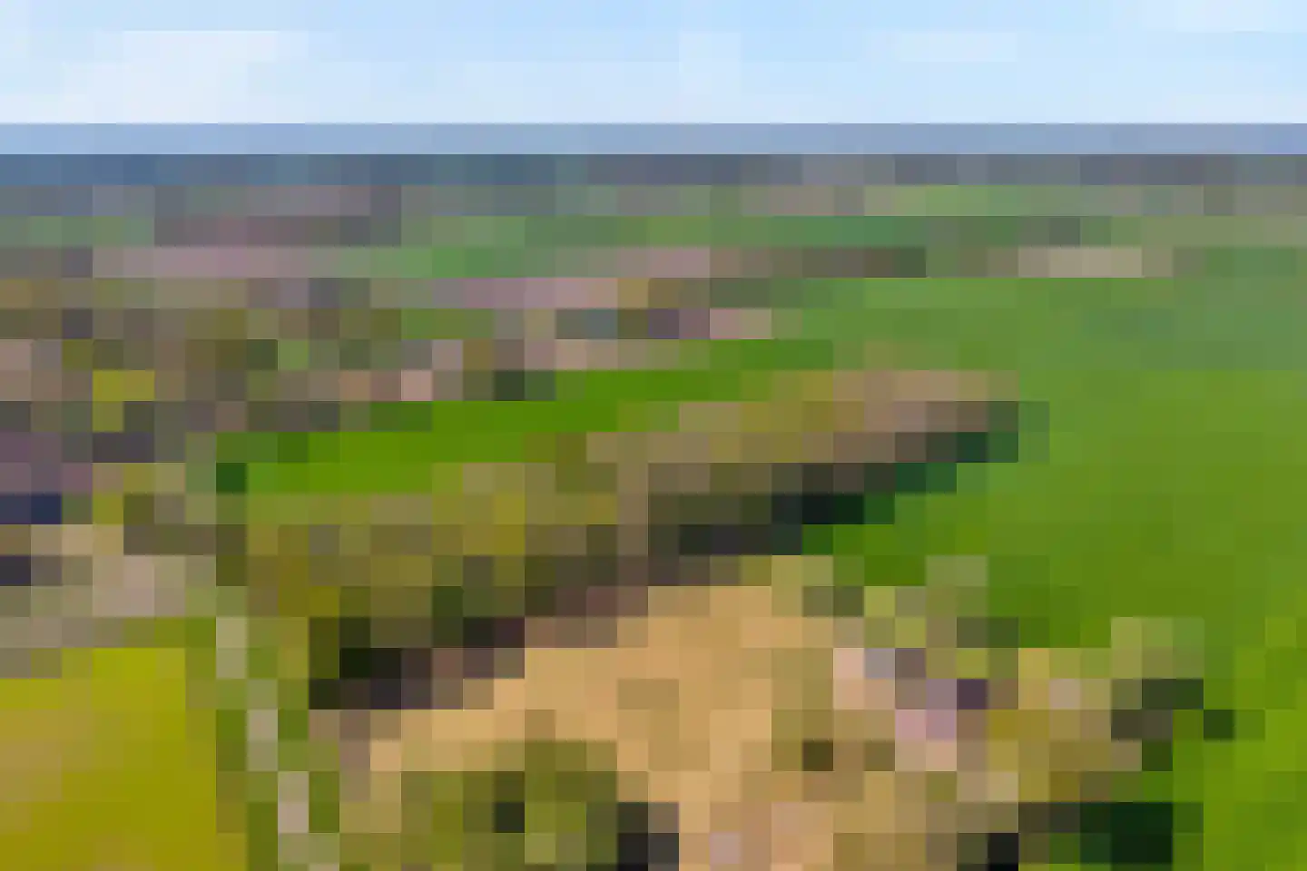 Nieuwlandweg 1 Ane thumbnail 52
