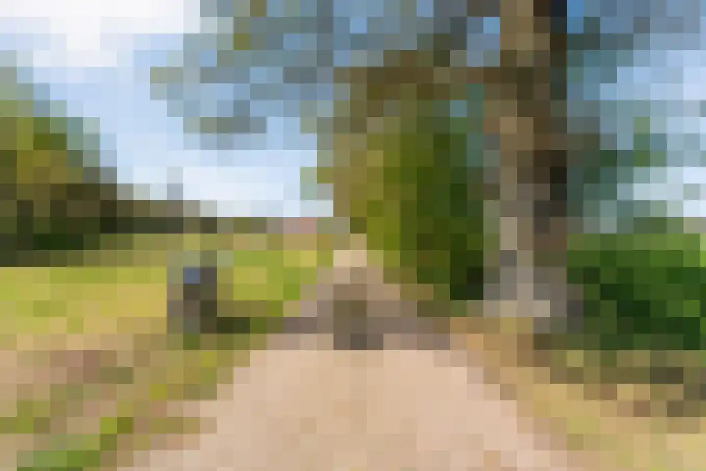 Nieuwlandweg 1 Ane thumbnail 6