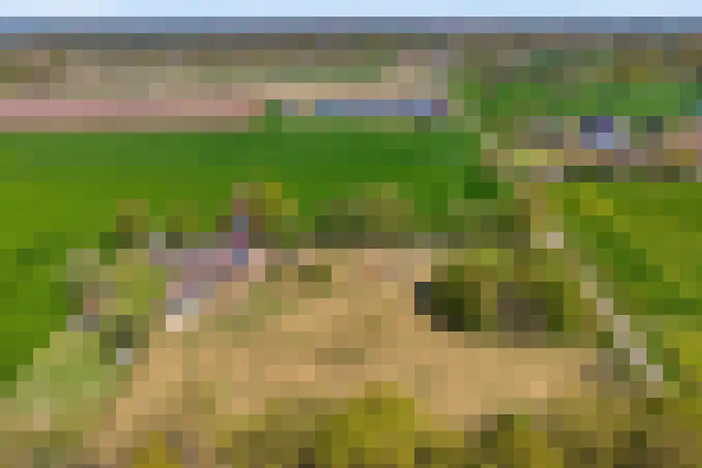 Nieuwlandweg 1 Ane thumbnail 7