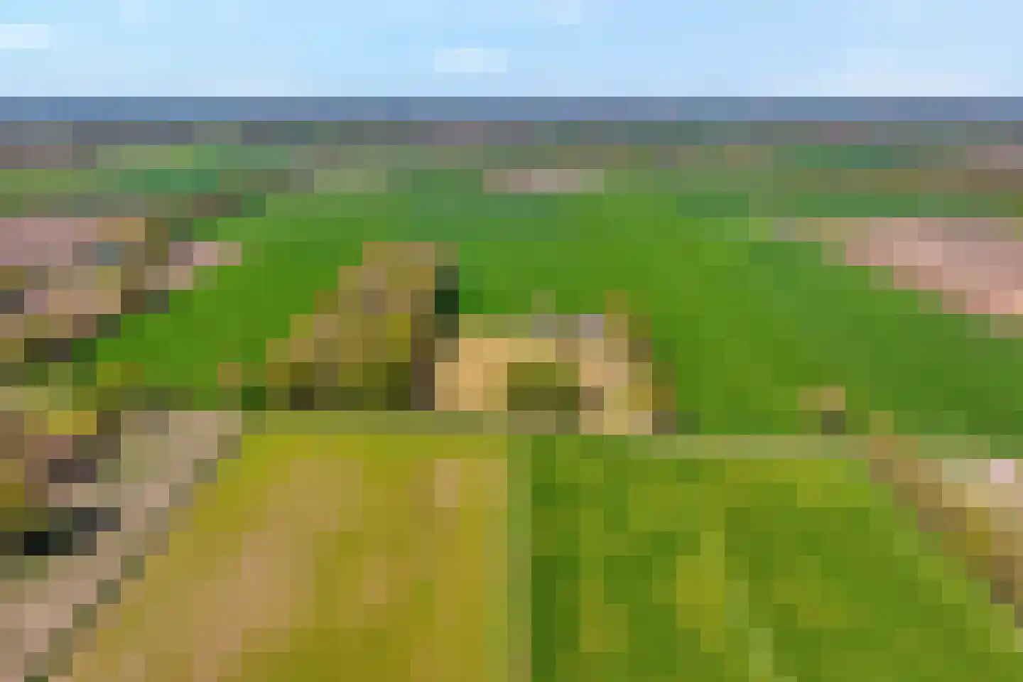 Nieuwlandweg 1 Ane thumbnail 8