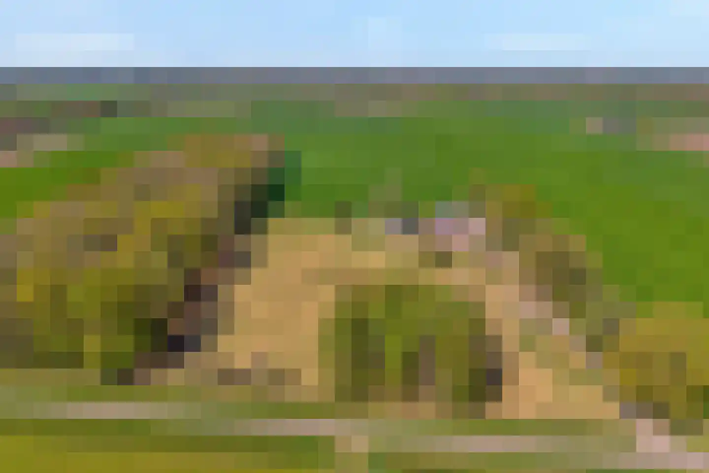 Nieuwlandweg 1 Ane thumbnail 9