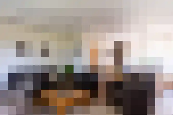 Nieuwlandweg 4 Oudenbosch thumbnail 11