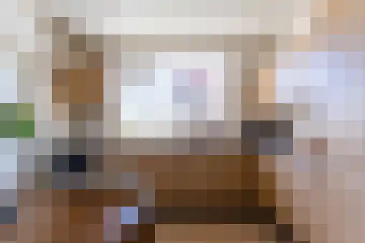 Nieuwlandweg 4 Oudenbosch thumbnail 12