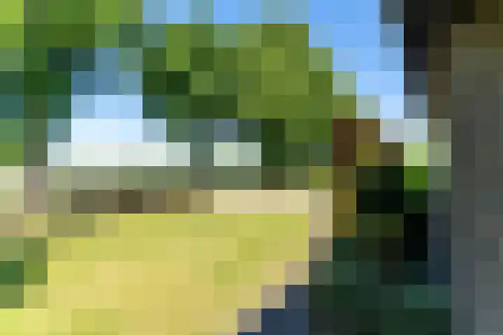 Nieuwlandweg 4 Oudenbosch thumbnail 35