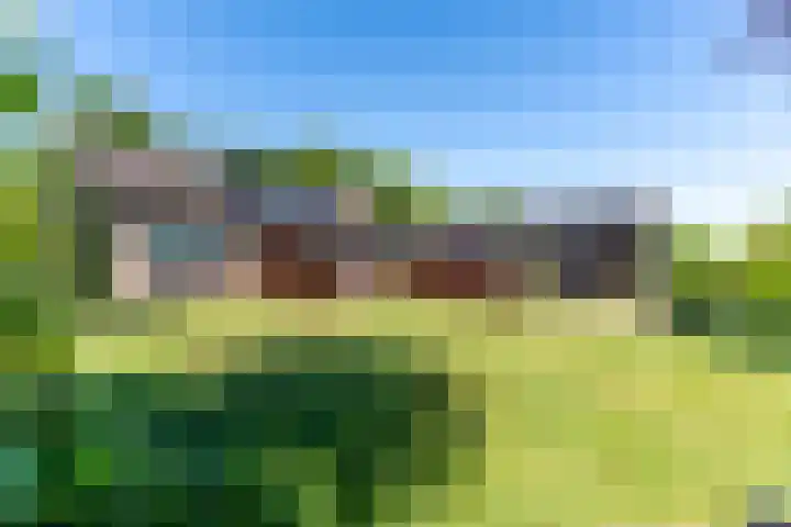 Nieuwlandweg 4 Oudenbosch thumbnail 36
