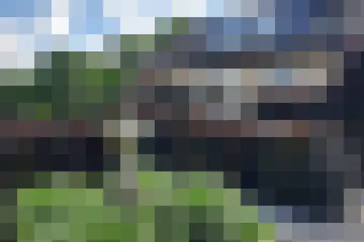 Nieuwlandweg 4 Oudenbosch thumbnail 38