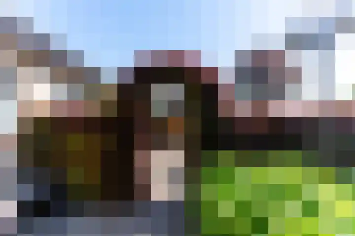 Nieuwlandweg 4 Oudenbosch thumbnail 39