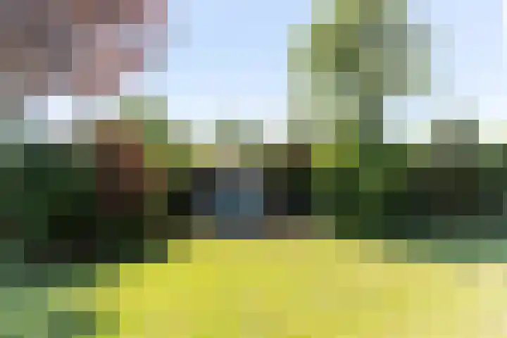 Nieuwlandweg 4 Oudenbosch thumbnail 42