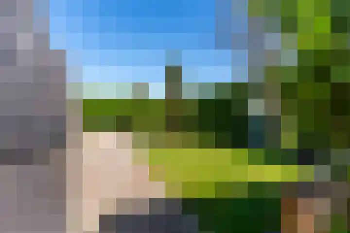 Nieuwlandweg 4 Oudenbosch thumbnail 43