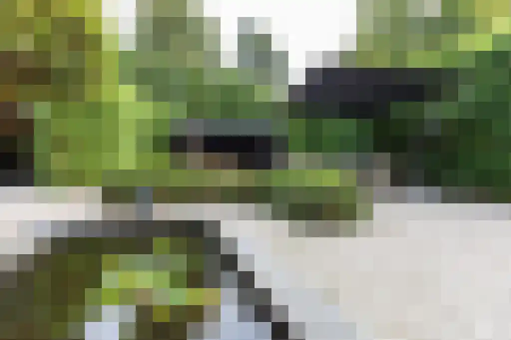 Nieuwlarenweg 18 Laren thumbnail 37