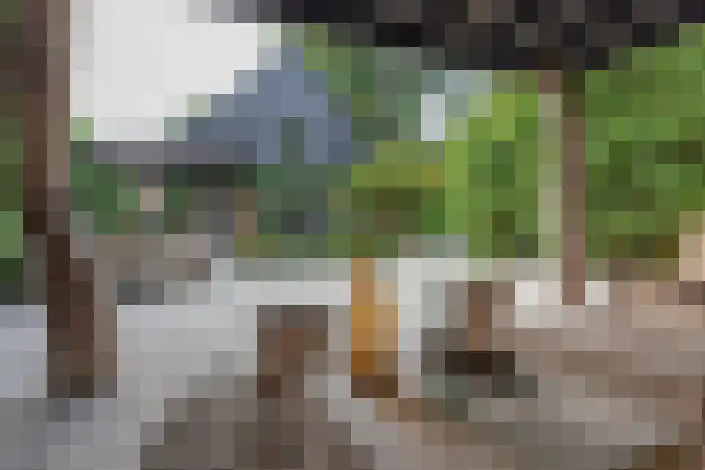 Nieuwlarenweg 18 Laren thumbnail 40