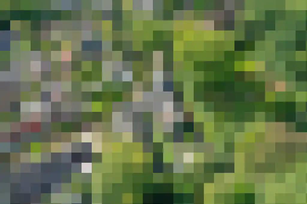 Nieuwlarenweg 18 Laren thumbnail 46