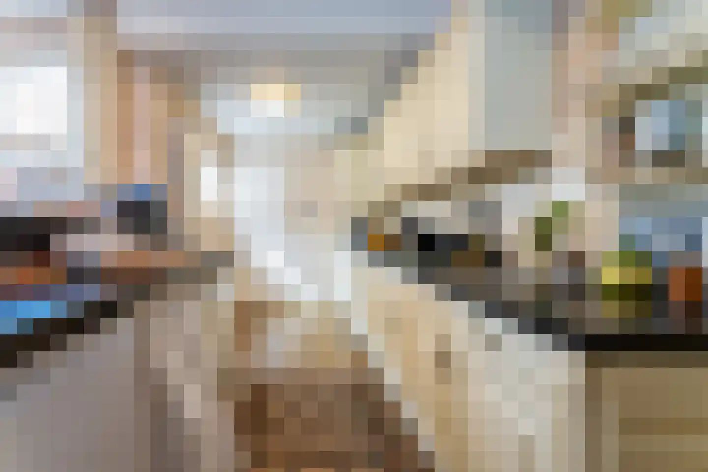 Nieuwleusenerstraat 8 Cadzand thumbnail 10