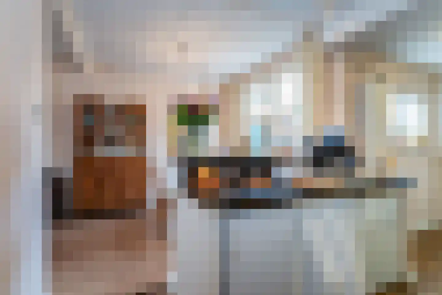Nieuwleusenerstraat 8 Cadzand thumbnail 11