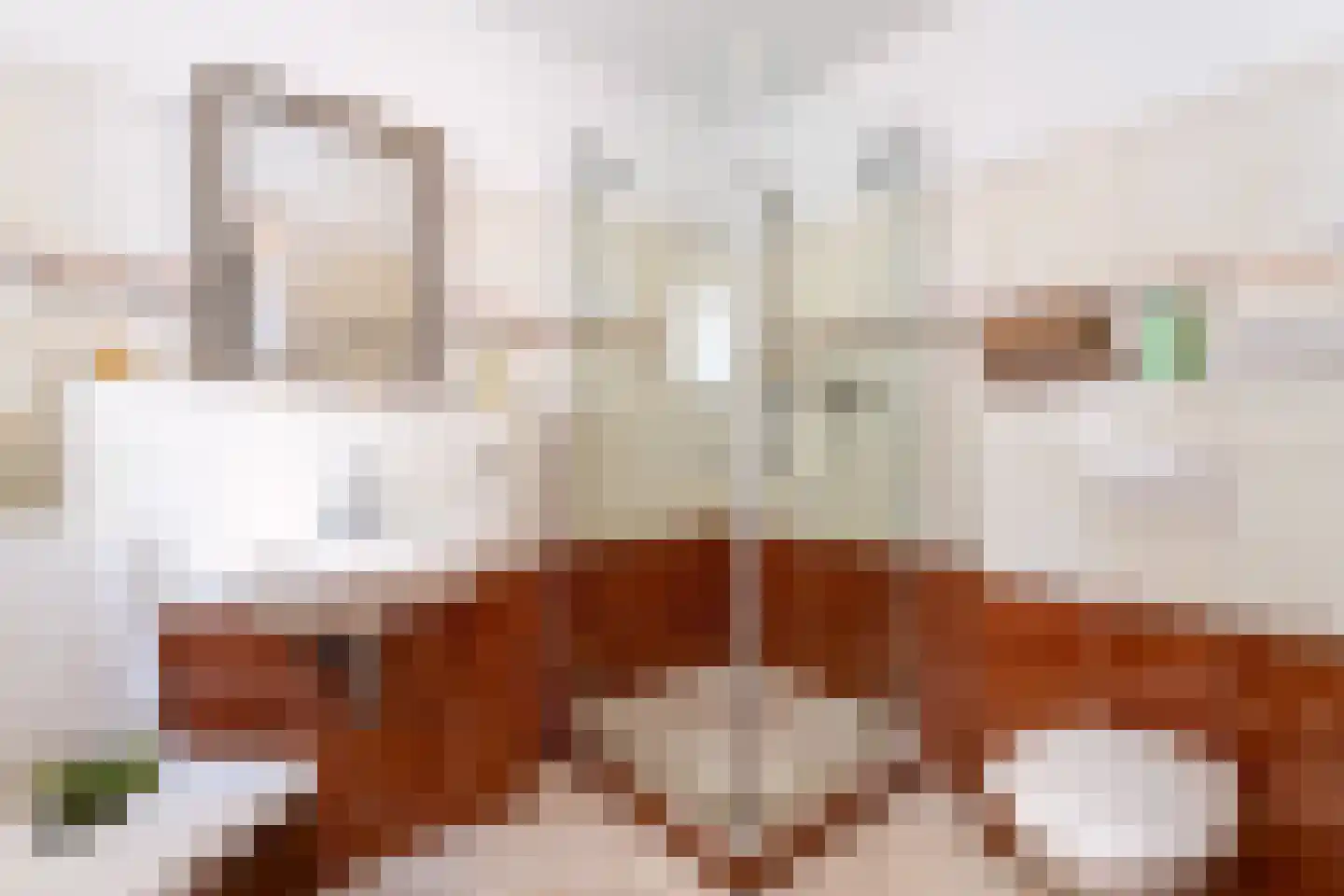 Nieuwleusenerstraat 8 Cadzand thumbnail 12