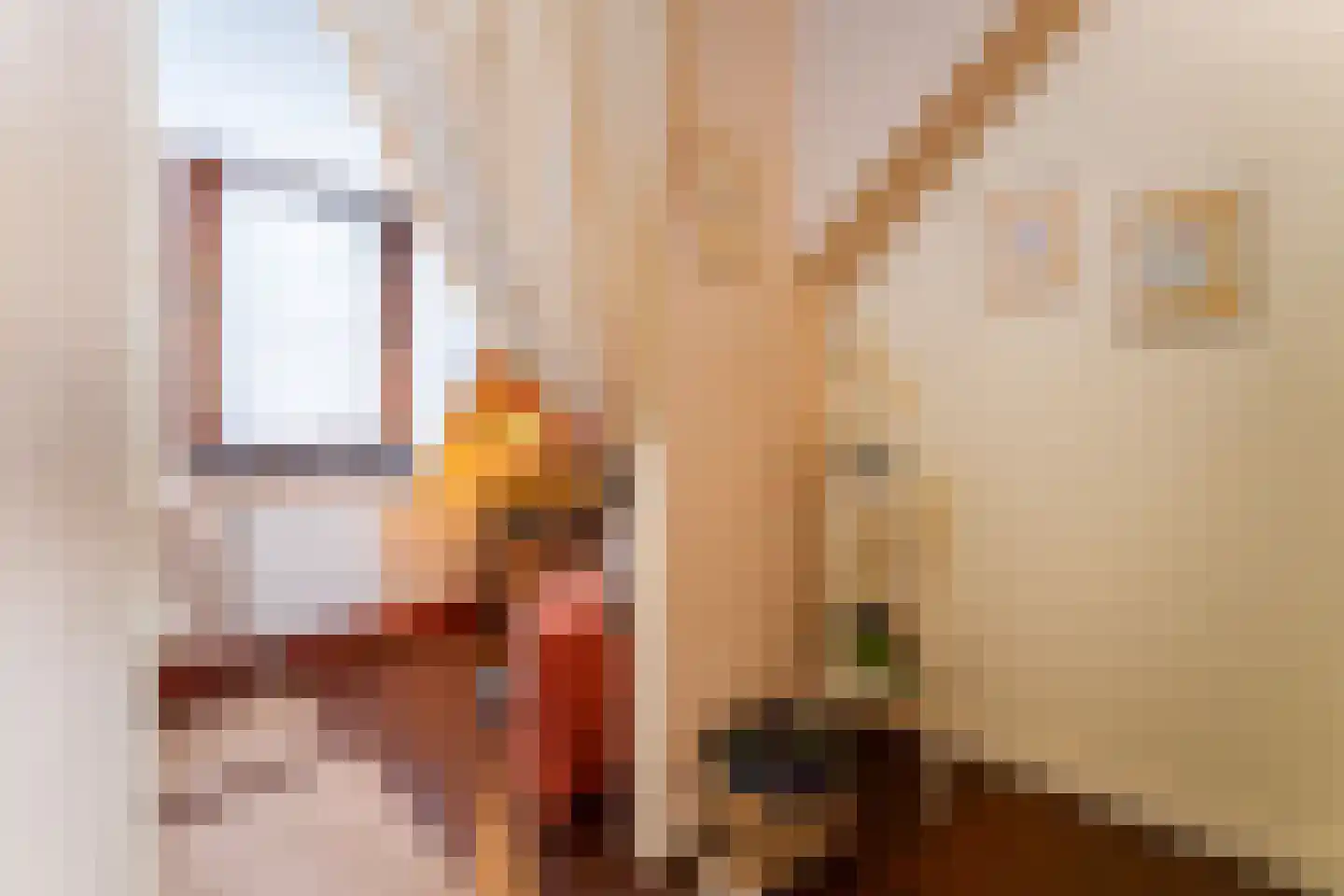 Nieuwleusenerstraat 8 Cadzand thumbnail 14