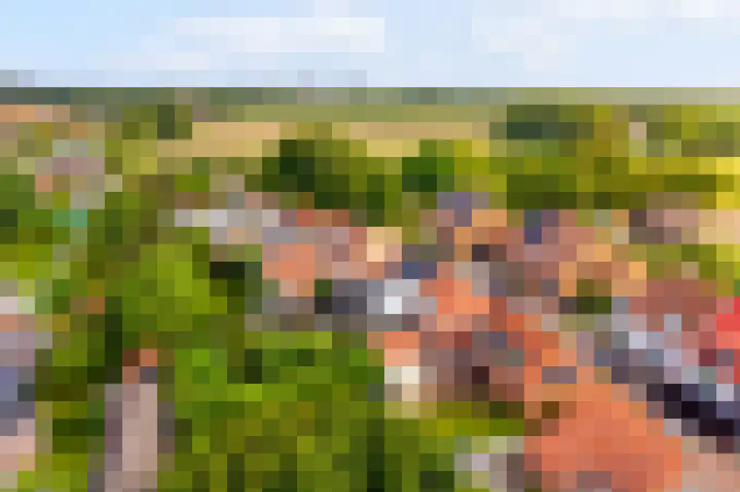 Nieuwleusenerstraat 8 Cadzand thumbnail 16