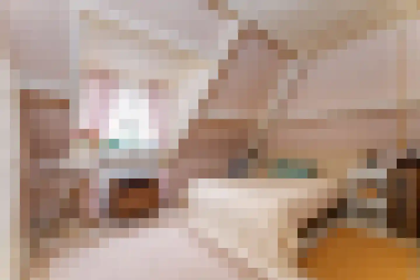 Nieuwleusenerstraat 8 Cadzand thumbnail 4