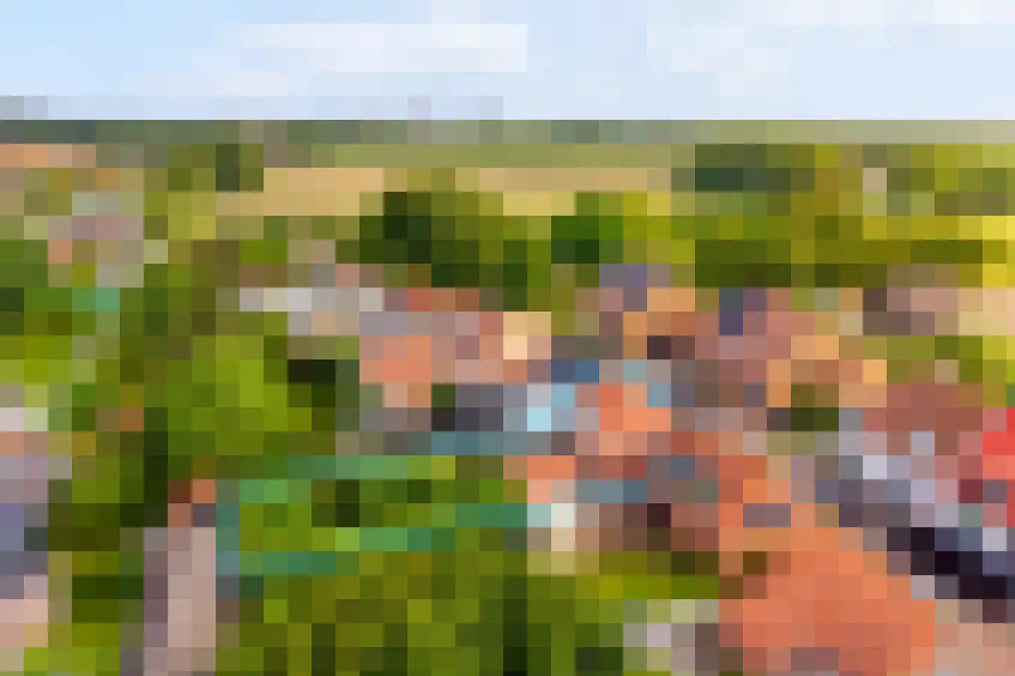 Nieuwleusenerstraat 8 Cadzand thumbnail 5