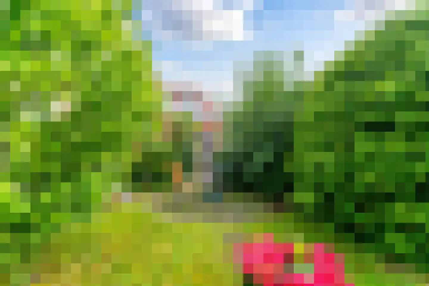 Nieuwleusenerstraat 8 Cadzand thumbnail 8