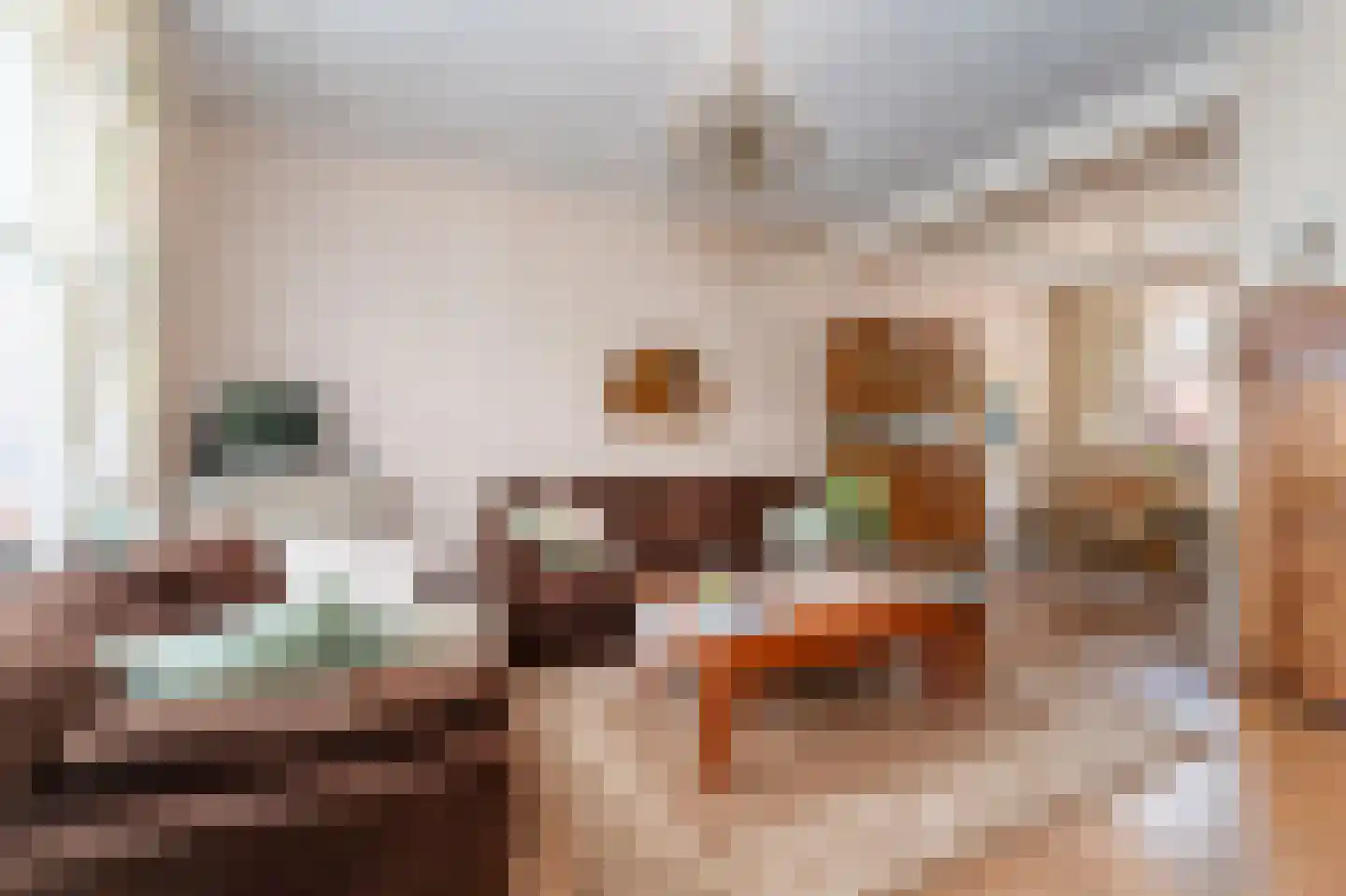 Nieuwleusenerstraat 8 Cadzand thumbnail 9
