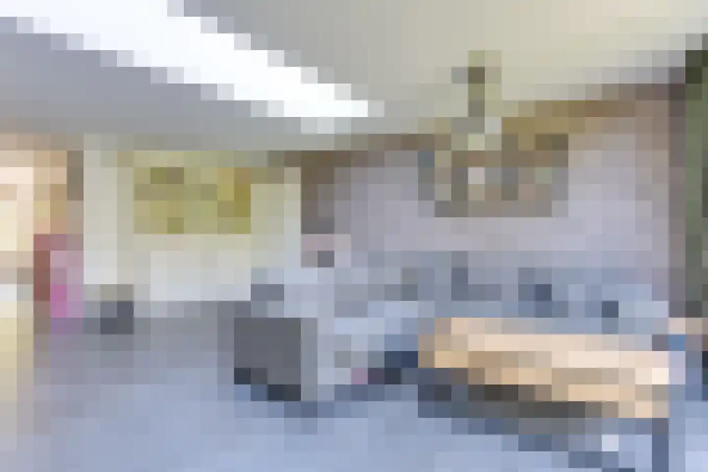 Nieuwlicht 16 Blokker thumbnail 10