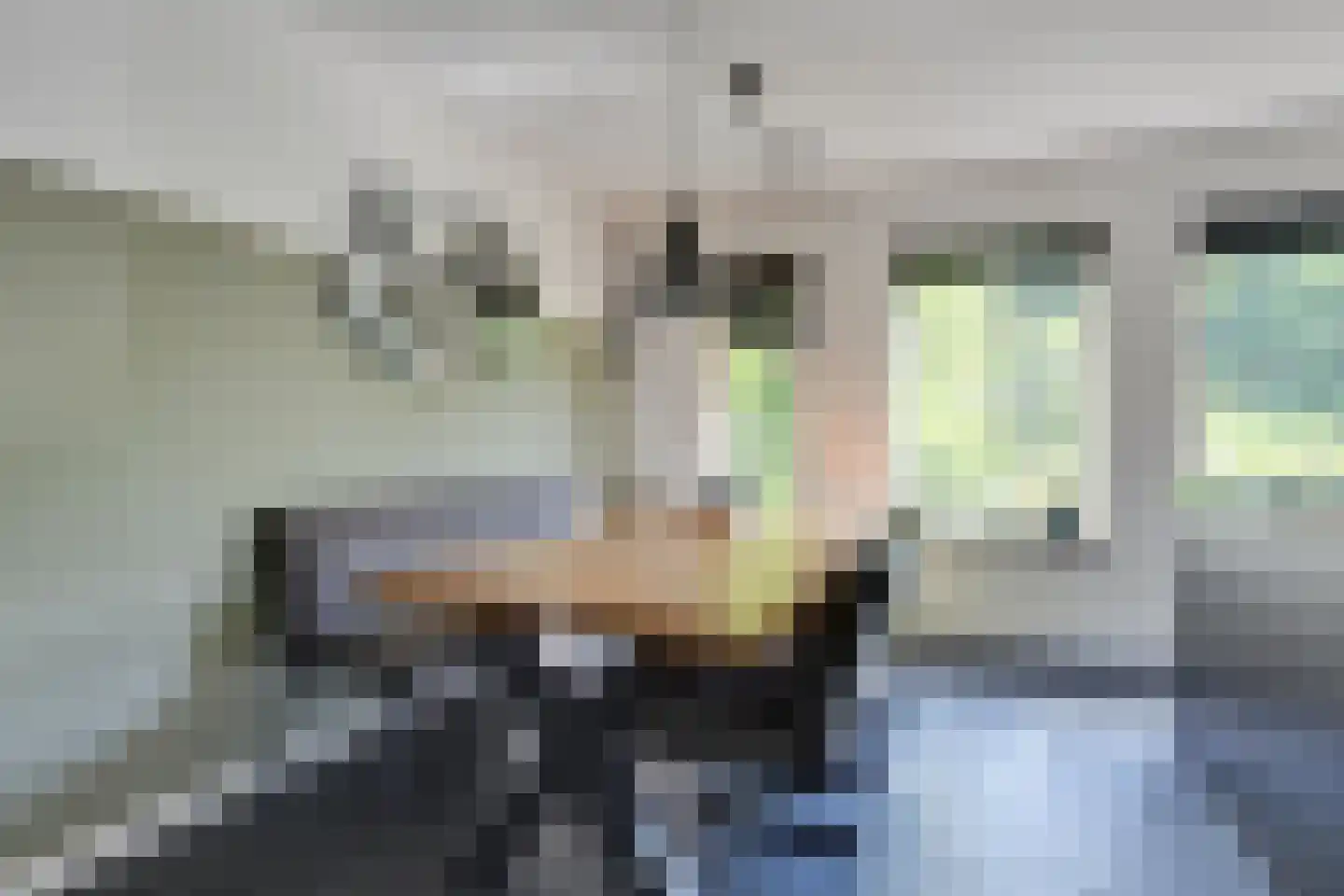 Nieuwlicht 16 Blokker thumbnail 15