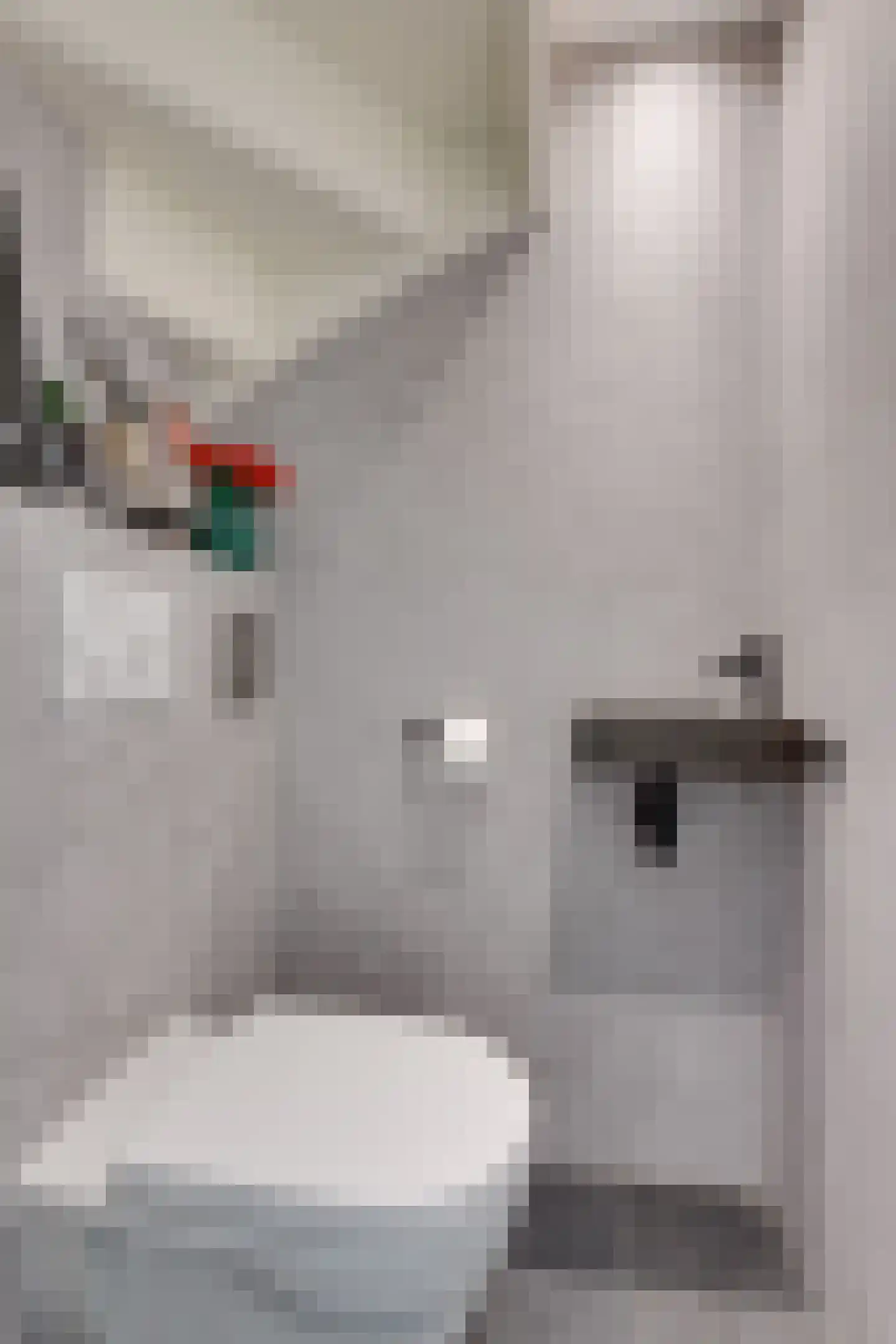 Nieuwlicht 16 Blokker thumbnail 20