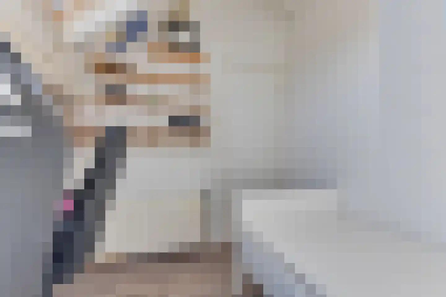 Nieuwlicht 16 Blokker thumbnail 36