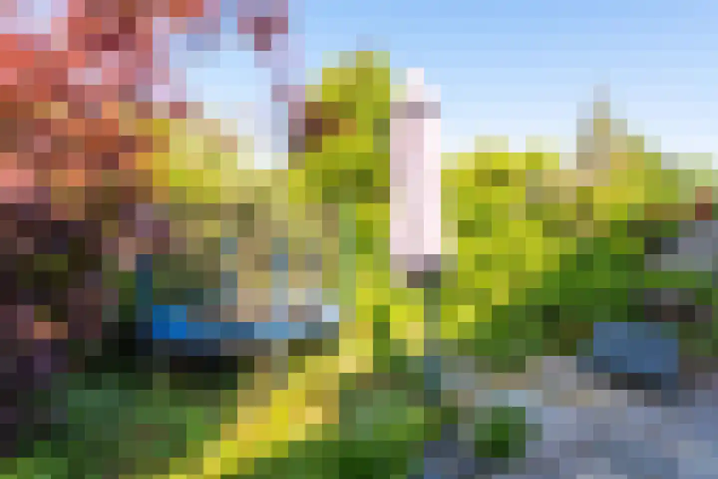 Nieuwlicht 16 Blokker thumbnail 40
