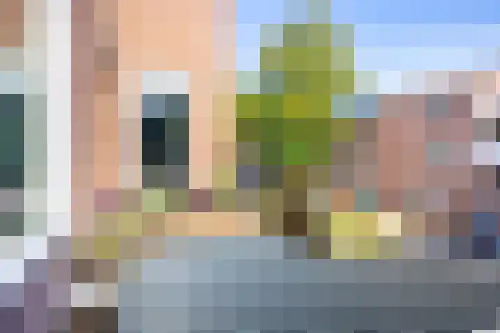 Nieuwlichtstraat 42 Utrecht thumbnail 12