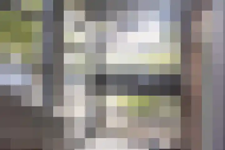 Nieuwlichtstraat 42 Utrecht thumbnail 33