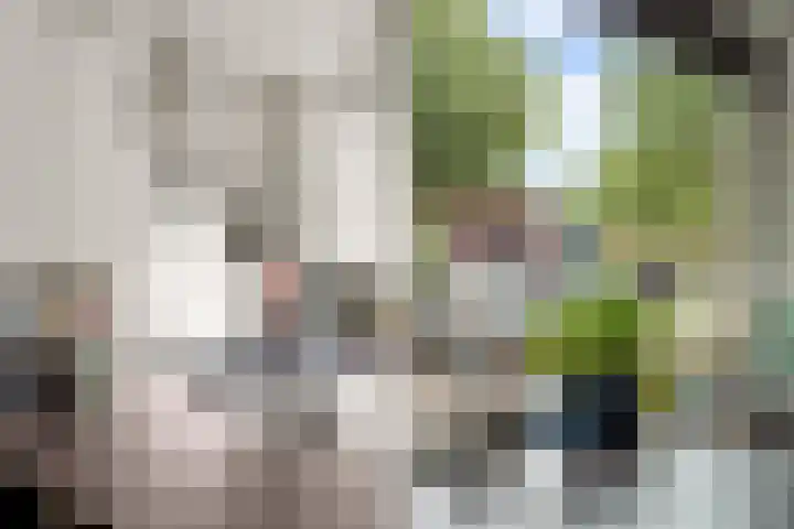 Nieuwlichtstraat 46 Utrecht thumbnail 11