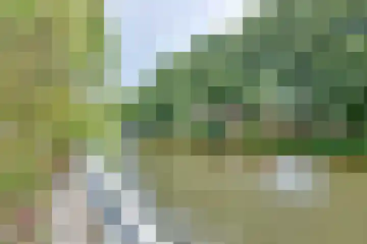 Nieuwlichtstraat 5 BS Utrecht thumbnail 44